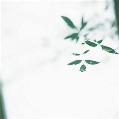 cf掌上穿越火线app下载安装