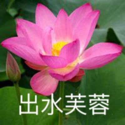 我是球王破解版下载